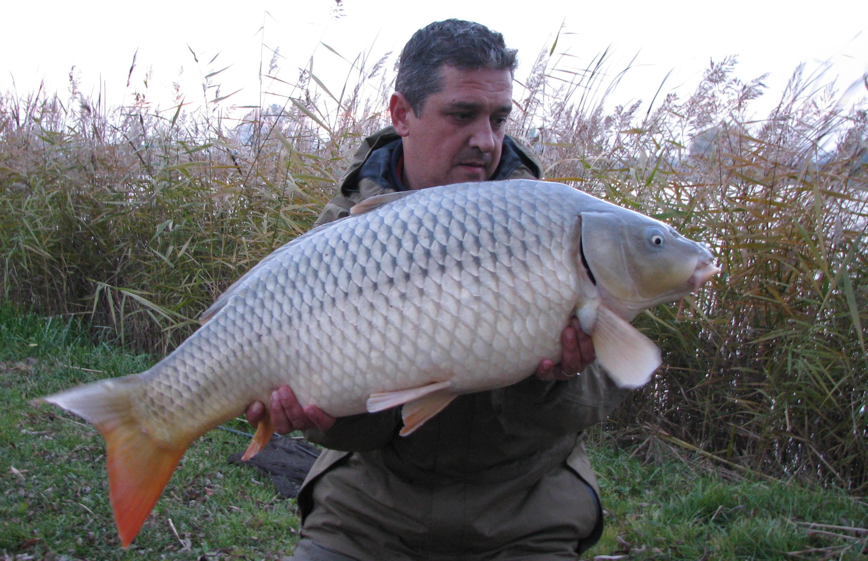 capturi - IMG_2796.JPG